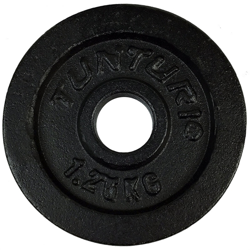 Tunturi Weight Disc Støpejern - 1,25kg / Ø30 mm